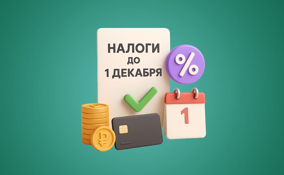 Налоги до 1 декабря: что платить и как получить кэшбек