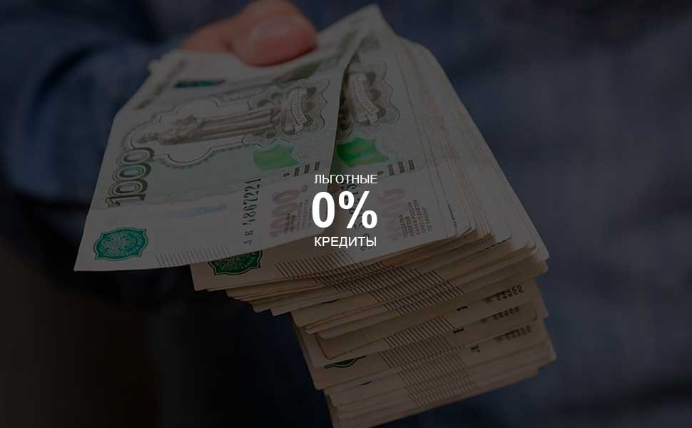 Мишустин перебил главу Минэкономразвития и потребовал наладить выдачу льготных кредитов бизнесу