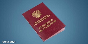 Госдума РФ отклонила законопроекты о возвращении прежнего пенсионного возраста