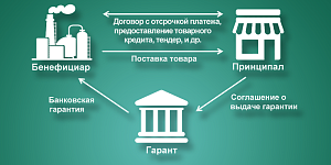 Банковская гарантия: виды, формы, признаки отличия